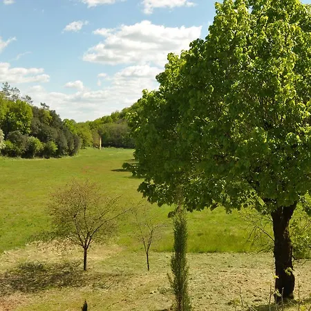 Chez Le Gaulois Carsac-Aillac