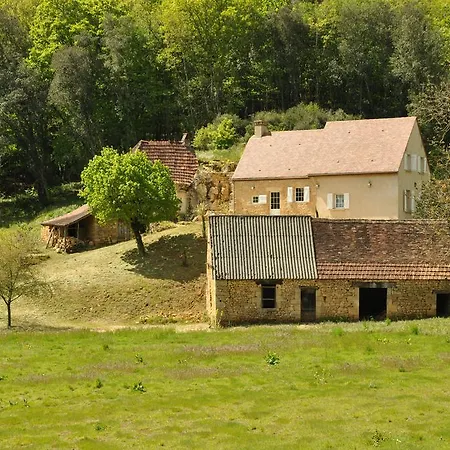 Chez Le Gaulois Carsac-Aillac