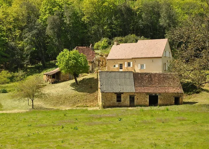 Chez Le Gaulois Carsac-Aillac